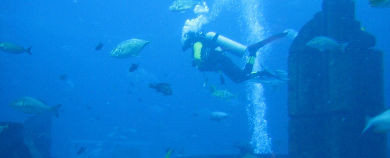 Dubai Aquarium en Underwater Zoo: wanneer koop je een ticket en wanneer niet?