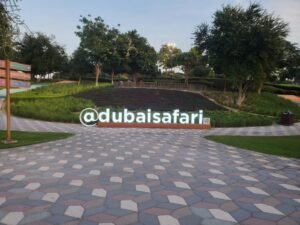 Dubai Safari Park: prijzen, seizoen en waarom het in de zomer dicht is