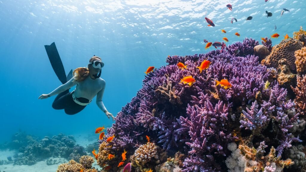 Duiken en snorkelen in Dubai