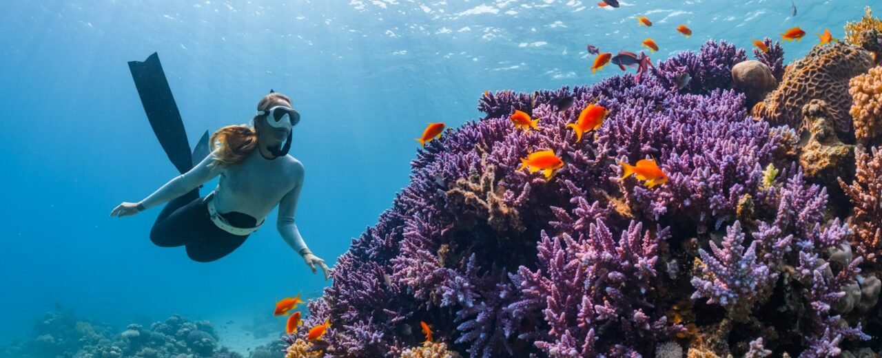 Duiken en snorkelen in Dubai