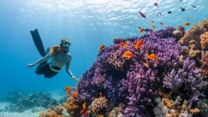 Duiken en snorkelen in Dubai