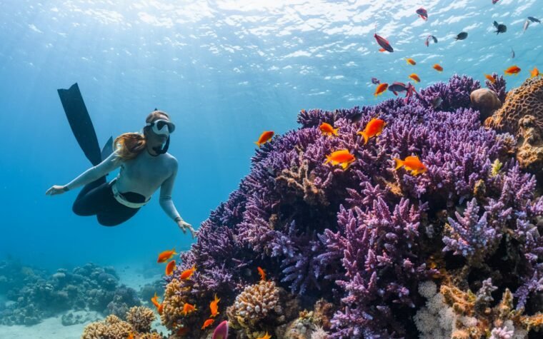 Duiken en snorkelen in Dubai